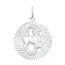 Подвеска «Знак зодиака Козерог» из серебра 94030891 - превью